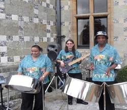 Steel Band Performer
